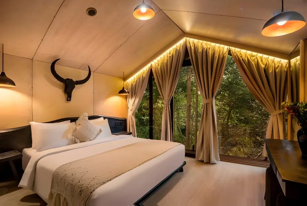 room image